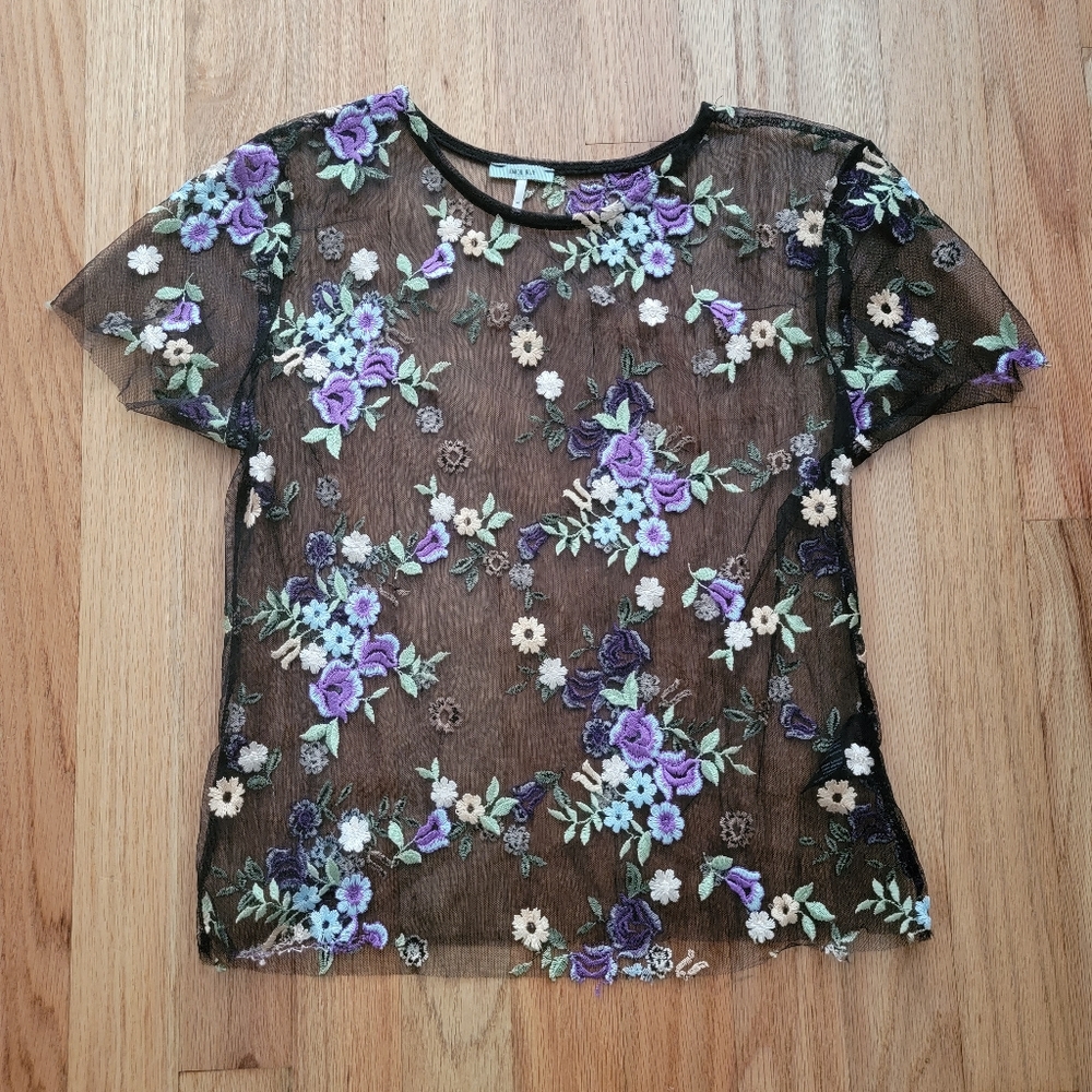 Urban Outfitters Sheer Crop Top
